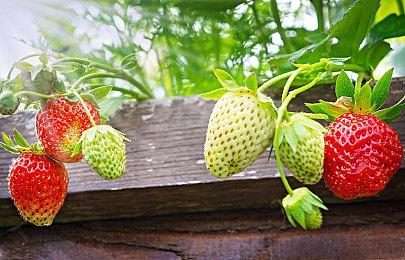 解谜游戏《Maquette》将于今冬登陆Xbox和Switch